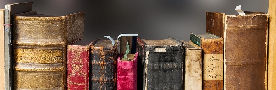 Books on the shelves of a library