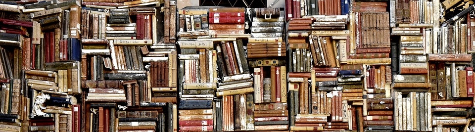 Books on library shelves